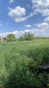 Київська область, Обухів