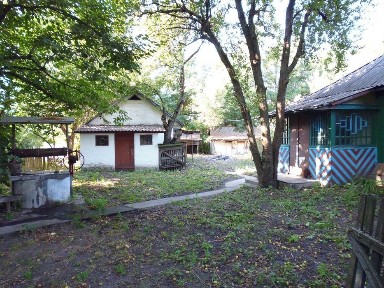 Продам будинок 50м2, 25сот. у Згурівському районі, С. Жуківка