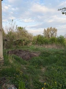 Закарпатська область, Сторожниця