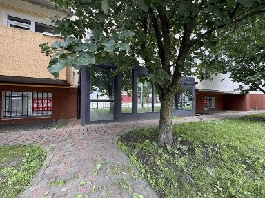 Київська область, Вишневе