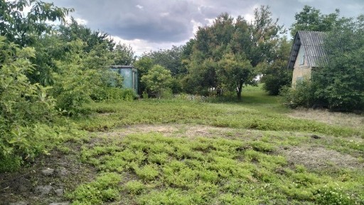Київська область, Чепиліївка