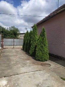 продам будинок Берегове Закарпатська область