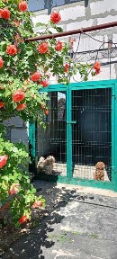 Продам будинок, можна по сертифікату !