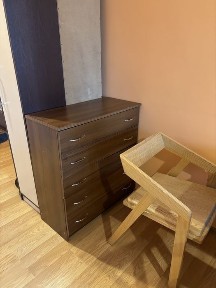 Київська область, Ірпінь