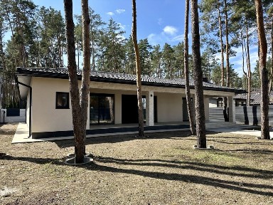 Продаж будинку в Лісовій Бучі з басейном на 10 сотках