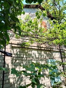 Продам Дачу Довгинцевський рн