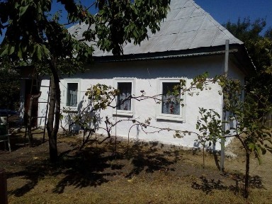 Продам будинок в селі Свидівок