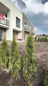 Львівська область, Лісопотік
