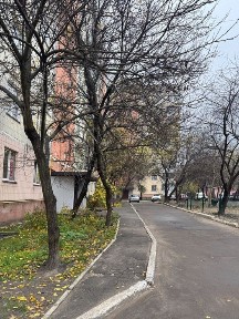 Київська область, Коцюбинське