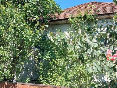 Ціну знижено! Продамо будинок у селі Довге Закарпатської області