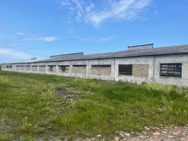 Продав ферму (корівник, свинарник, курник)