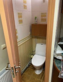 Хмельницька область, Лісові Гринівці