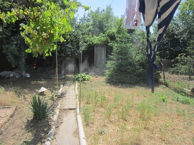 Продам будинок, Бородинський