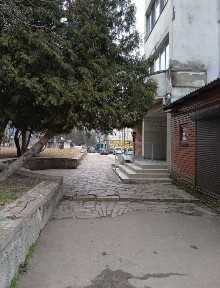 Житомирська область, Житомир, Польова