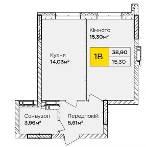 Київська область, Київ, Дарницький