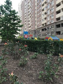 Одеська область, Одеса, Приморський