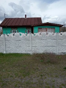 С. Пироговка Два дома Один участок ц. 6000у. е