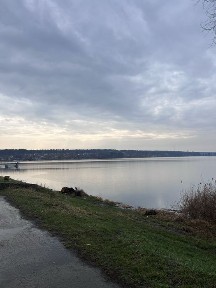 Будинок біля водосховища та лісу