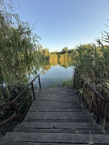 Продається затишна дача в Підгородному ( Єрмолаївка)
