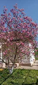 Продаємо будинок в Сваляві Закарпатської області