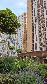 Одеська область, Одеса, Приморський