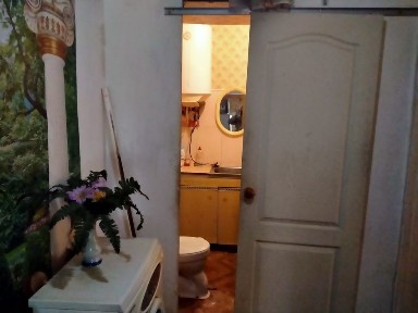 Сдам или продам 1 ком. кв. на КРЭСе, Покровский, Кр. Рог, Кр. Рог, рядом исполком, речка, тихое место