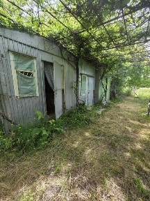 Продам дачу в Трушках біля річки