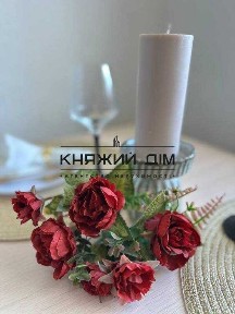 Київська область, Київ, Дарницький