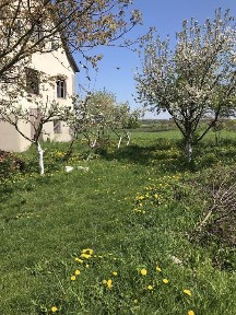 Продам будинок в м. Старокостянтинів