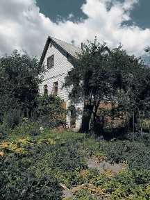 Будинок-дача 95м2 в межах села Пухівка, до річки Десна 5 хвл.