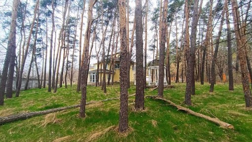 Будинок з ремонтом, велика ділянка 55 соток, можно під бизнес.