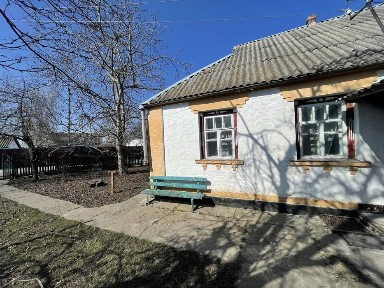 Затишний цегляний будинок із великою ділянкою в Гребінках