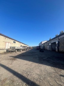 Продаж палетного заводу, Рівненська область, виробництво