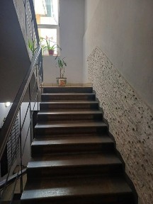 вулиця Давидчука, Ірпінь, вул. Давидчука • ID 34692974