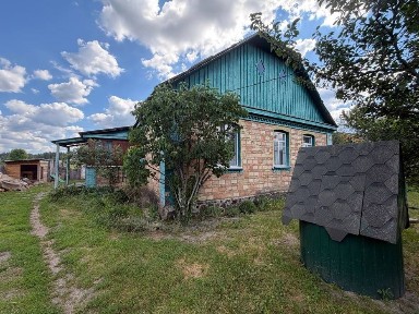 Київська область, Мирча