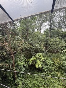 2 кімнатна з новим ремонтом