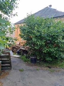 Продам дом Чугуев