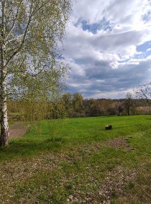 Продаж будинку в м. Кагарлик з великою ділянкою (51 сотка) та мальовничими краєвидами (поряд ліс та ставок)