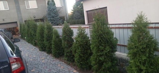 Комфортний будинок в центрі міста з усіма зручностями