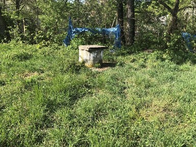 Будинок та літня кухня