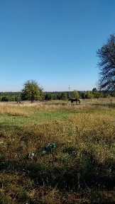 Київська область, Осиково