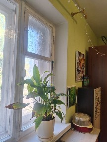Продам 2х кв, район моря, 3/5 цена 49т торг