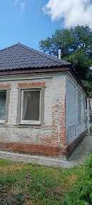 Домоволодіння, в центрі з участком