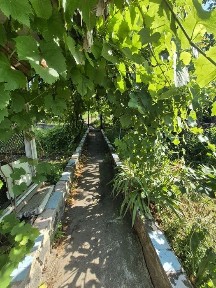 Оренда частини будинку на вул. Залізнична