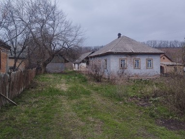 Продаж будинку з великою земельною ділянкою в с. Балаклея