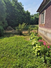 Продаж будинку с. Кострино
