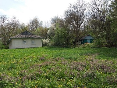 Будинок 67 м² під ремонт на березі ставка, с.