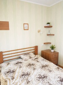 Будинок з ремонтом на Лелеківці