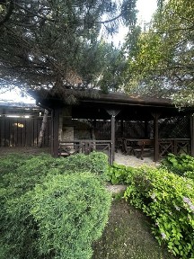 Дніпропетровська область, Новоолександрівка