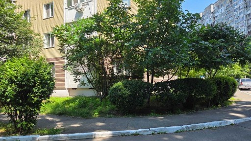 Київська область, Київ, Шевченківський